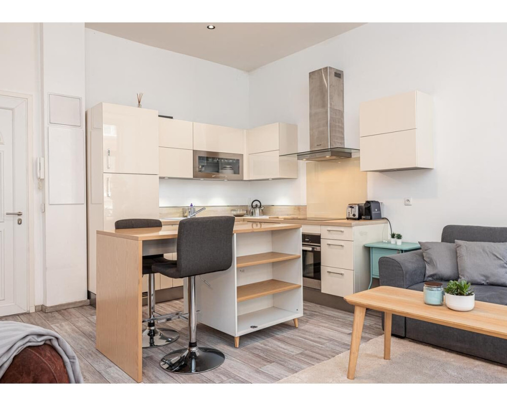 Beautiful 2 Rooms of 40.26 sqm located near Place Garibaldi    