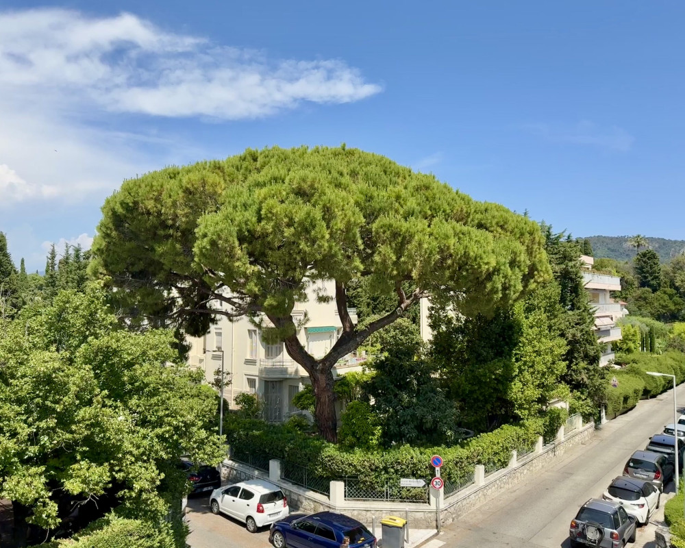 Secondo e ultimo piano di una piccola casa da ristrutturare situata nel cuore di Cimiez