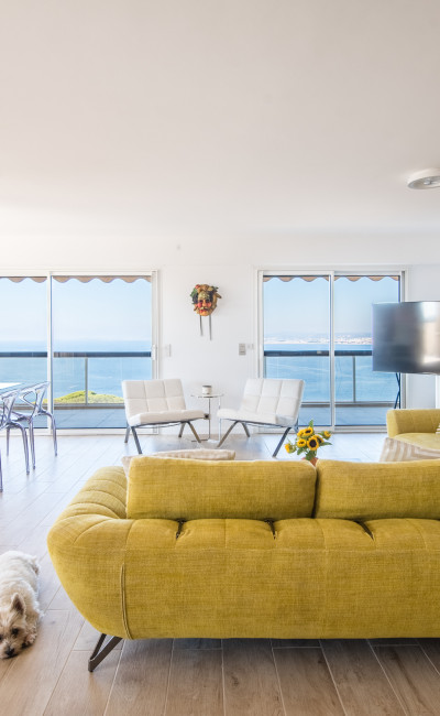 Appartement 4p 123m2 vue mer mont boron