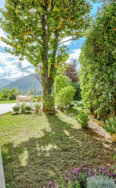 Grand jardin arboré de 300m2 avec arbres fruitiers - Nice Cimiez