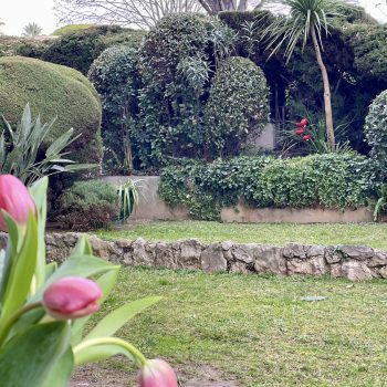 Nice Cimiez – Très beau 3 pièces rez-de-jardin au coeur de Cimiez
