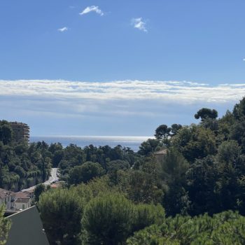 Nice Madonette – F1 dernier étage terrasse dans résidence avec piscine